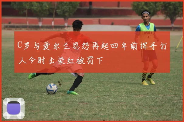 C罗与爱尔兰恩怨再起四年前挥手打人今肘击染红被罚下