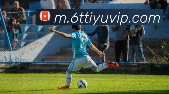 6T体育APP 封面图